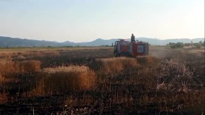 15 dönümlük tarlada çıkan yangın tonlarca buğdayı küle çevirdi