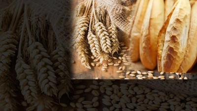 Sofralardaki ekmeği azaltacak karar