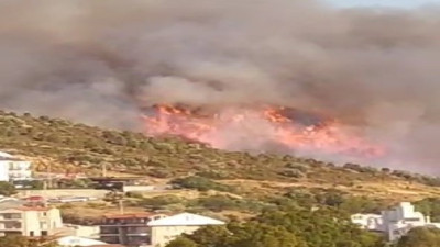 Datça Kargı koyunda orman yangını çıktı