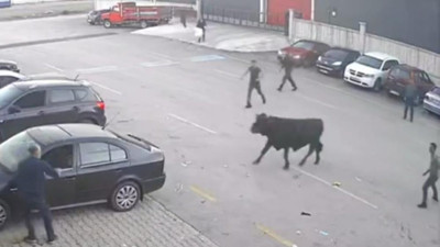 Boğanın kaçışı film sahnelerini aratmadı. Tamirhaneye girince yakalandı