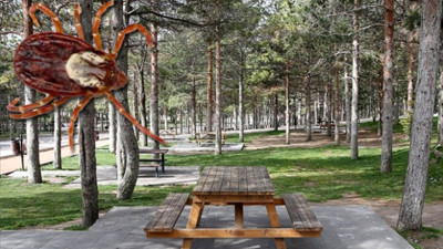 Uzmanından piknik ve kene uyarısı