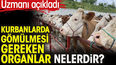 Kurbanlarda gömülmesi gereken organlar nelerdir? Uzmanı açıkladı