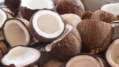 Hindistan cevizi nasıl soyulur? Hindistan cevizinin faydaları neler?