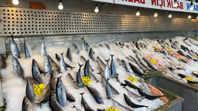 Kurban sonrasında balık önerisi