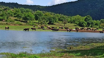 İstanbul barajlarında alarm zilleri çalıyor. İSKİ az önce açıkladı