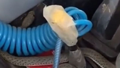 Yılan traktöre girdi. Köylü dondu kaldı