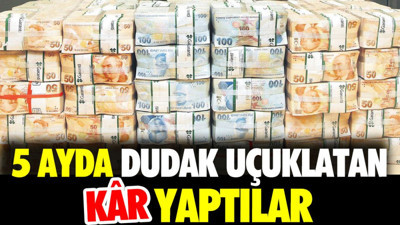 5 ayda dudak uçuklatan kâr yaptılar