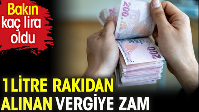 1 litre rakıdan alınan vergiye zam. Bakın kaç lira oldu