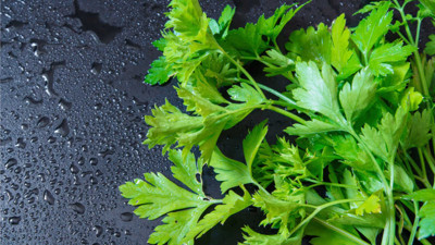 Rüyada maydonoz görmek ne demek? Rüyada maydanoz görmek neye işaret?