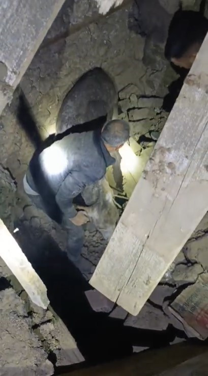 Sındırgı’da 6.1’lik depremde enkaz altında kalan eşek Kadife’nin mucize kurtuluşu! “Hem iş arkadaşım, hem yoldaşım” - Resim : 8