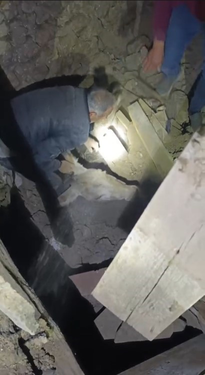 Sındırgı’da 6.1’lik depremde enkaz altında kalan eşek Kadife’nin mucize kurtuluşu! “Hem iş arkadaşım, hem yoldaşım” - Resim : 6