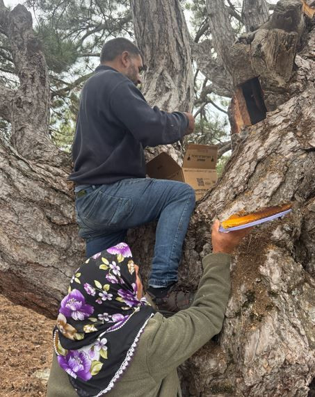 Toros Dağları'nda iz sürüyorlar görenlerin cebi para doluyor. Kimi 3 günde kimi 20 günde buluyor - Resim: 2