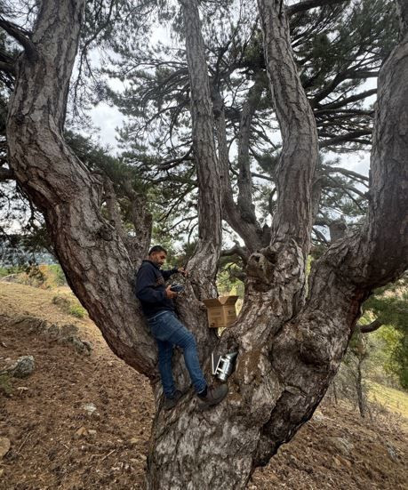 Toros Dağları'nda iz sürüyorlar görenlerin cebi para doluyor. Kimi 3 günde kimi 20 günde buluyor - Resim: 1