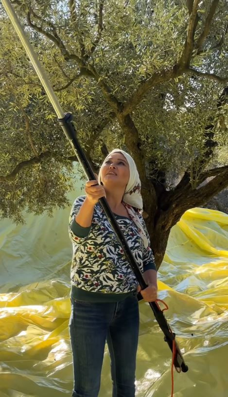 Şehir hayatından kaçıp köye yerleşti! Nurgül Yeşilçay traktör sürdü zeytin topladı - Resim : 3