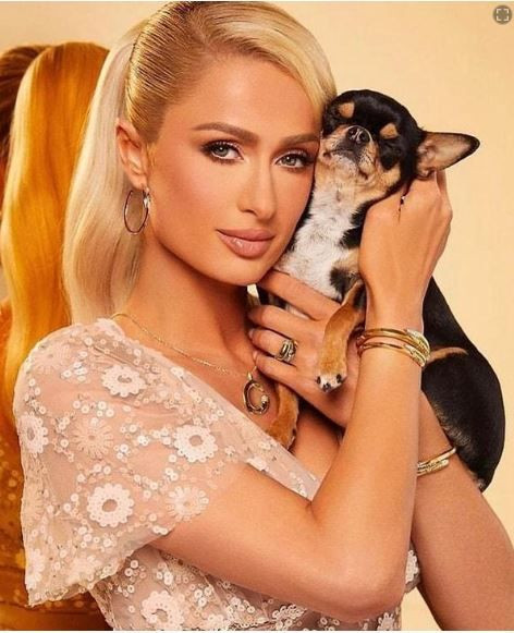 27 milyon kişi Paris Hilton’u, o ise Hatice’yi takip ediyor! Sosyal medya bu haberle kaynıyor - Resim: 7