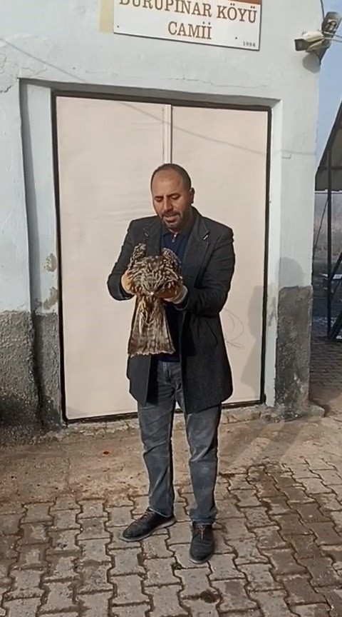 Yaralı kartalı besleyip kurtardılar: Köy imamı ve vatandaş el ele! - Resim : 1