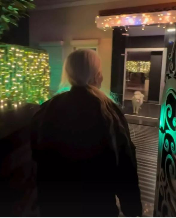 Ece Seçkin yılbaşı hazırlığında! Görenler aynı şeyi söyledi 'Ev değil saray yavrusu’ - Resim : 2