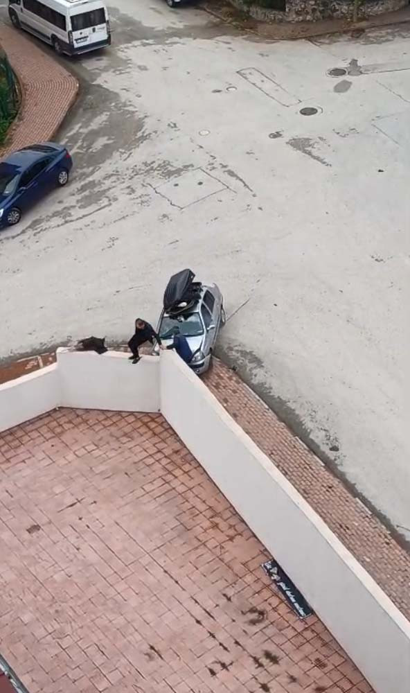 Bilecik'te mahkeme sonrası iki aile arasında kavga! 4 kişi yaralandı - Resim : 1