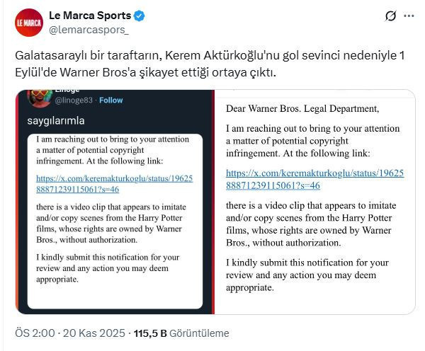 Harry Potter büyüsü bozuldu: Warner Bros Kerem Aktürkoğlu’nu mahkemeye verdi! Hollywood ‘yeter’ dedi - Resim : 13