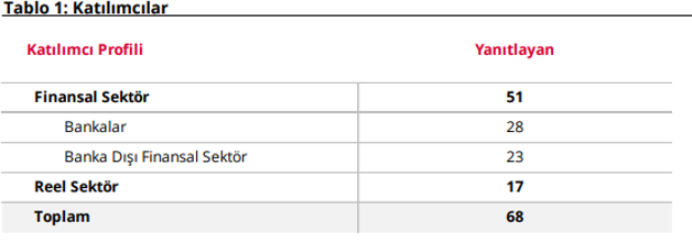 Merkez Bankası onlara bakınca her şeyi toz pembe görüyor… Kim bu piyasa katılımcıları? - Resim : 2