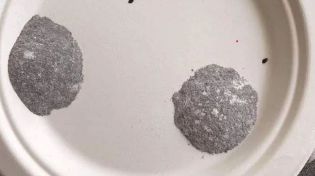 Böcek ailesinden önce Kadıköy’de zehirlenme! Ölüm tabağı - Resim : 1