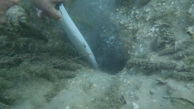 Şener Üşümezsoy adres vererek uyarmıştı! Suyun dibinde fokurdamalar başladı - Resim : 1