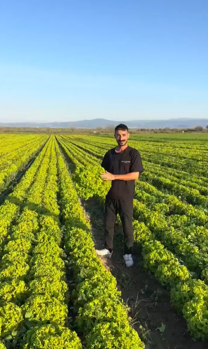 Bir yanda üreticiden 2 liraya alanlar diğer yanda yüzde 137’lik enflasyon… Çiftçi buna nasıl para yetiştirsin? - Resim : 1