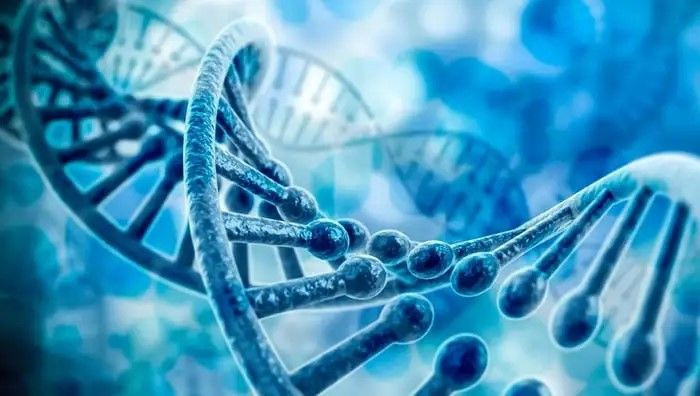 Elma deyip geçmeyin! Binbir derde deva: Uzman isim faydalarını tek tek sıraladı - Resim: 10