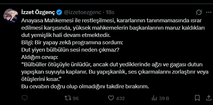 Erdoğan’ın eski hukuk danışmanı: Yüksek mahkemelerin başkanları dut yemiş bülbül - Resim : 1