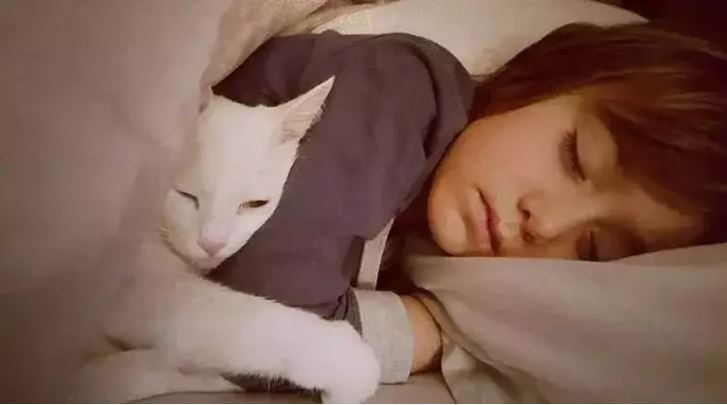 Umuda Koşanlar Derneği'nin Kurucusu Gamze Özçelik ve eşi Reşhad Strik'ten romantik paylaşım: "Benim cennetim..." - Resim : 13