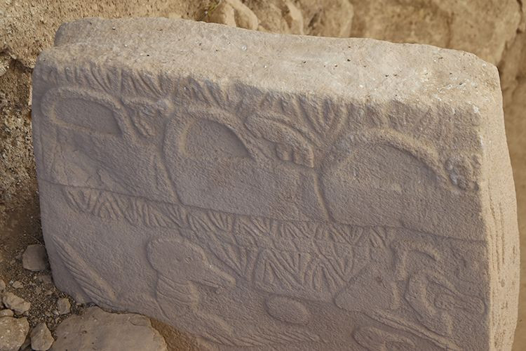 Tarihin sıfır noktası doldu taştı: Günlük 5 bin kişi 12 bin yıllık Göbeklitepe'yi geziyor! - Resim: 30