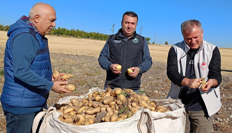 Beyşehir’de çiftçinin yüzü güldü!