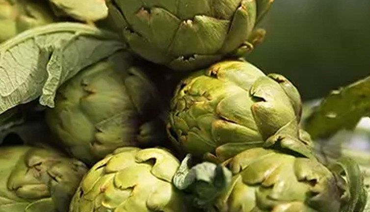 Siroz ve karaciğer yağlanması olanlara müjde! Uzmanlar açıkladı