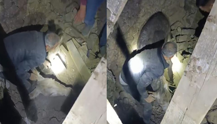 Sındırgı’da 6.1’lik depremde enkaz altında kalan eşek Kadife’nin mucize kurtuluşu! “Hem iş arkadaşım, hem yoldaşım”