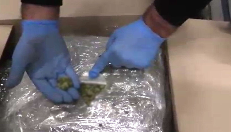 Kapıkule ve İpsala gümrük kapılarında yarım kilo uyuşturucu ele geçirildi!