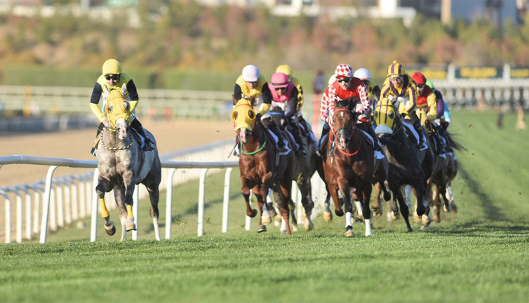 Cumhuriyet ve Cumhurbaşkanlığı koşuları yapıldı