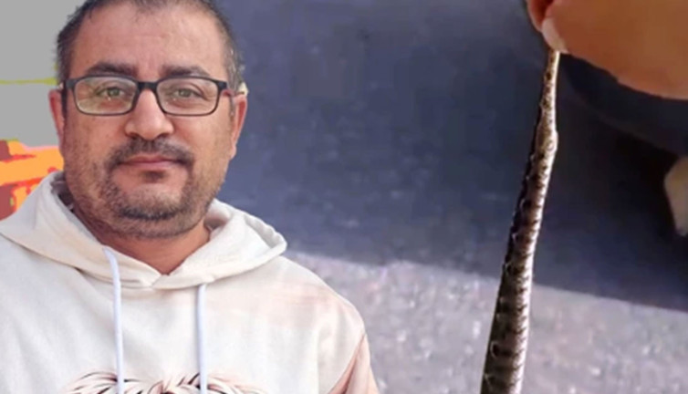 Tek ısığı öldürmeye yetiyor! Yakaladıktan sonra dehşete düştü