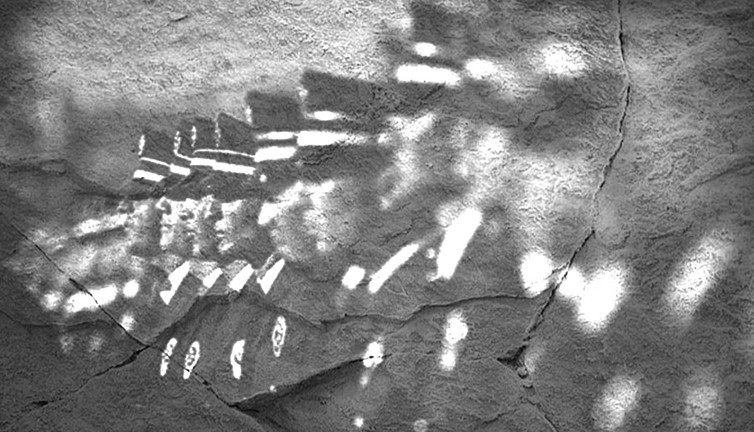 Emniyette C kod alarmı! Görev yerleri değişti