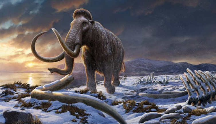 40 bin yıllık gizem açığa çıktı! Biyolojinin sınırları zorlandı