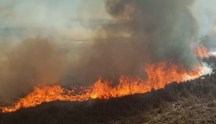 Beyşehir'de iki ayrı nokta, aynı gün: Tesadüf mü, kundak mı?