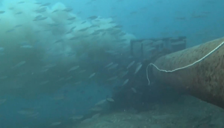 Çanakkale Boğazı'nda denize dökülen pis su görüntülendi