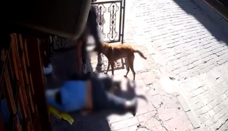 Vicdanınız nerede! Epilepsi hastasının cep telefonunu ve kıyafetlerini çaldılar