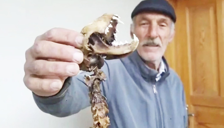 Paniğe kapılıp yetkililere haber verdi! 'İlk kez böyle bir şey gördüm...'