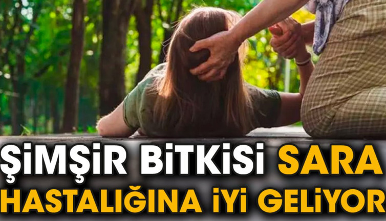 Sara hastalığına birebir iyi gelen mucize ot ortaya çıktı