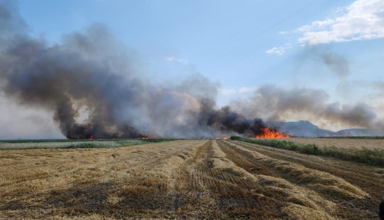Burdur’da elektrik tellerinden çıkan yangında 800 dekar ekili alan kül oldu