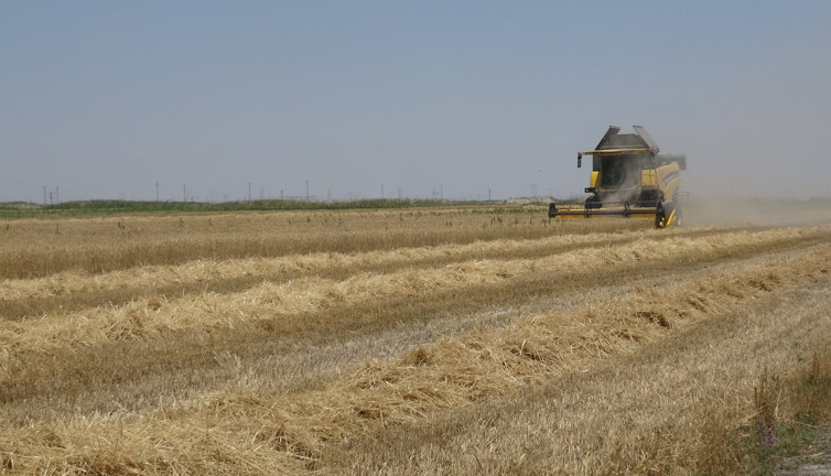 Siber dolandırıcılar gözünü çiftçilerin mahsulüne dikti
