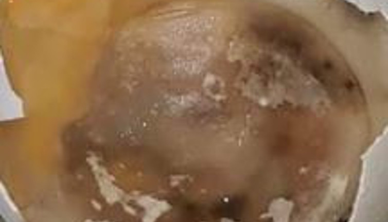 Ünlü market zinciri BİM'de büyük skandal. Kırdıkça evi pis koku kapladı