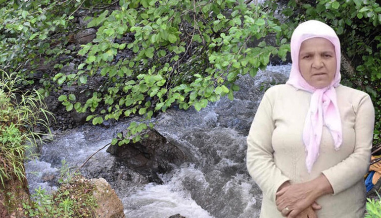 Ordu'da 10 metre yüksekten dereye düşen Naciye teyze aranıyor