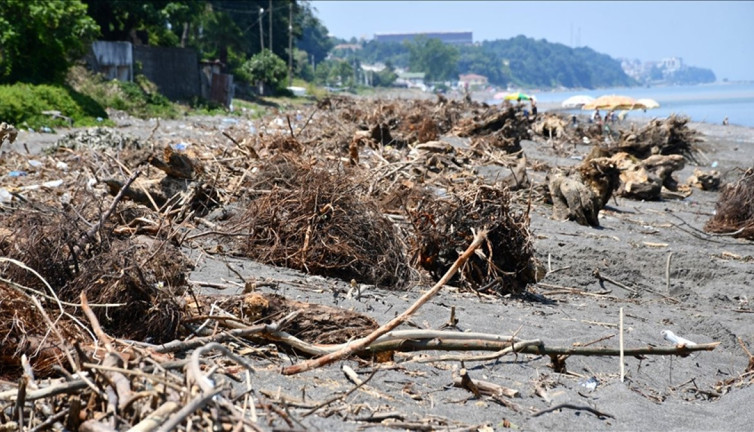 Sahil selin taşıdığı ağaç parçalarıyla doldu
