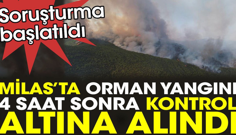Milas'ta orman yangını 4 saat sonra kontrol altına alındı